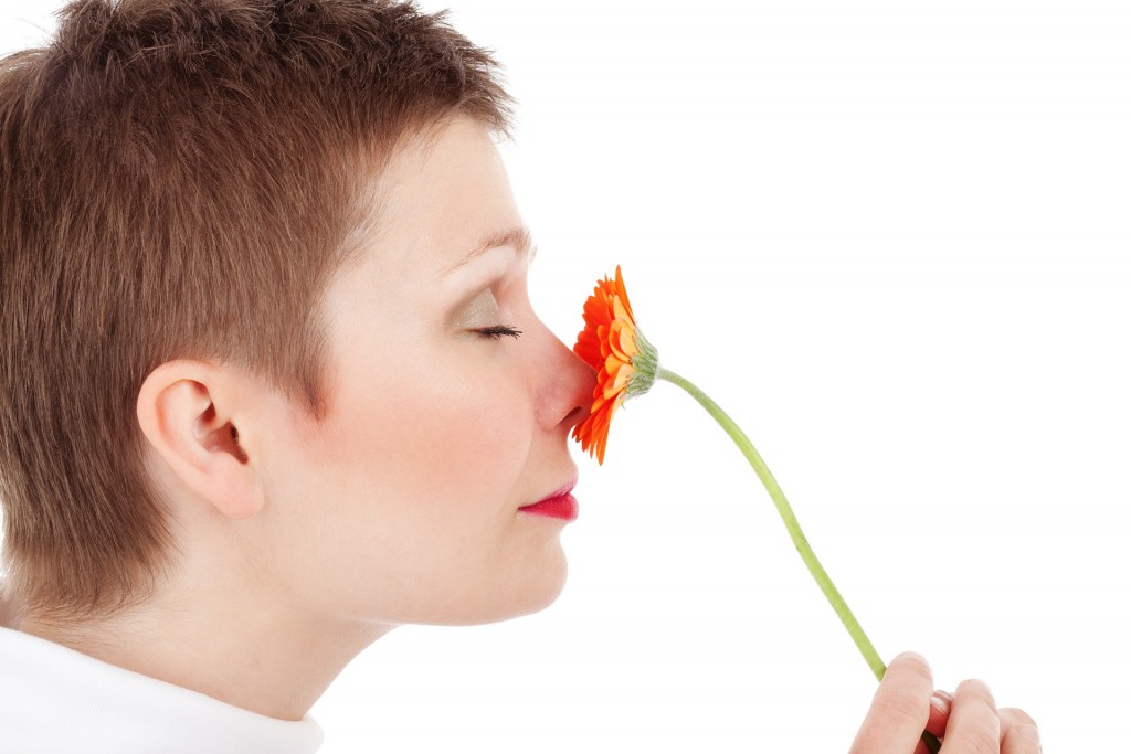 nose smell scent