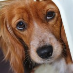 My mom is ungrateful