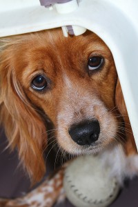 My mom is ungrateful